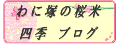  わに塚の桜米   四季 ブログ