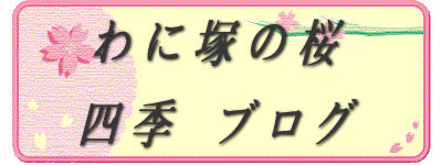  わに塚の桜    四季 ブログ